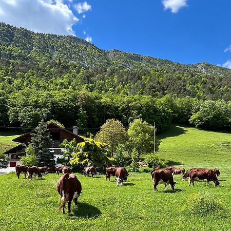 Appartement Lapreski, Spacieux, Proche Lac D'Annecy, Randonnees Montagne Thônes Εξωτερικό φωτογραφία