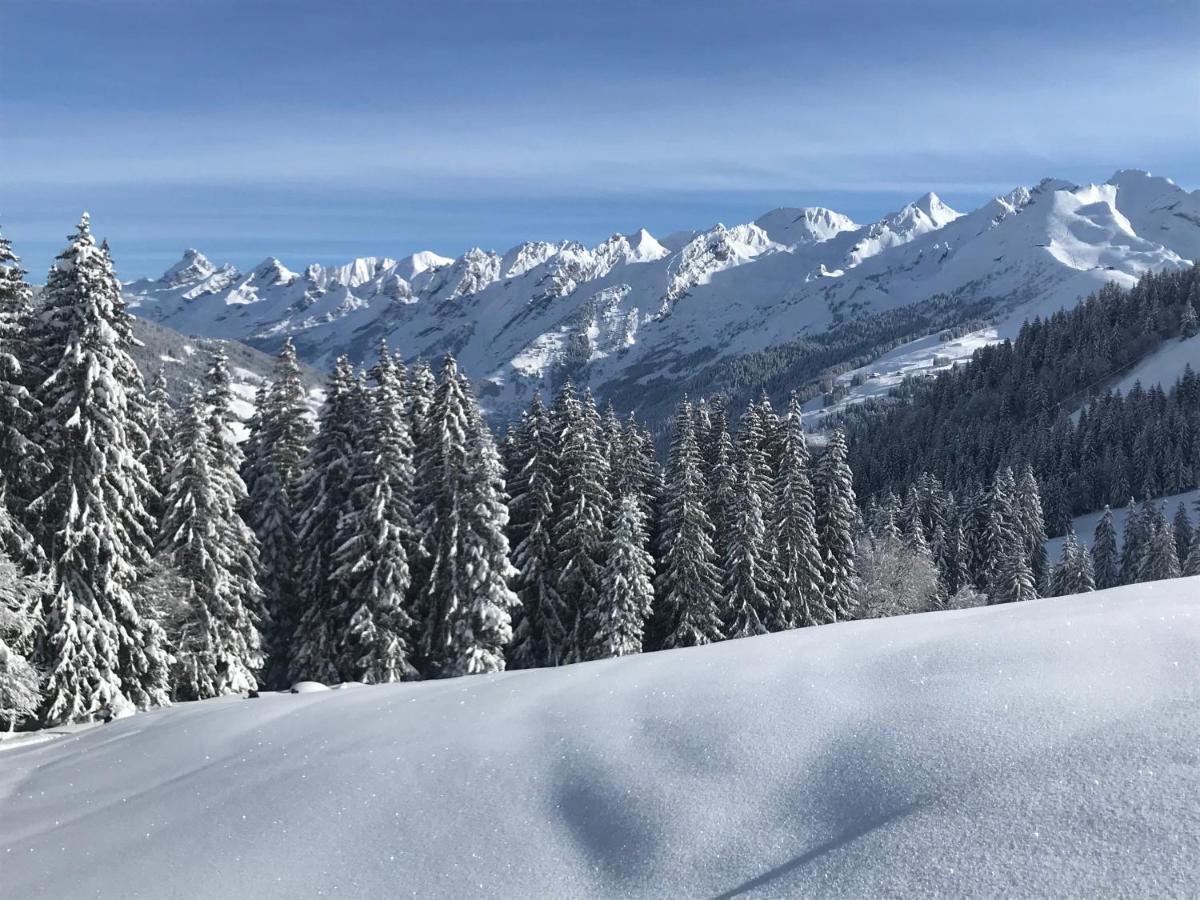 Appartement Lapreski, Spacieux, Proche Lac D'Annecy, Randonnees Montagne Thônes Εξωτερικό φωτογραφία