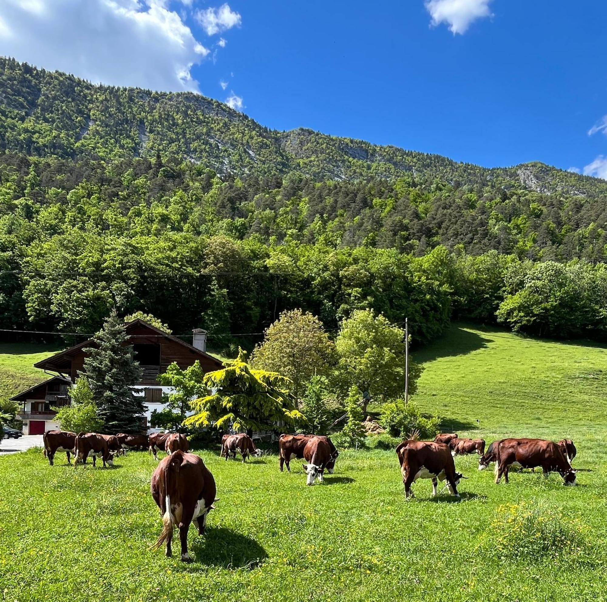 Appartement Lapreski, Spacieux, Proche Lac D'Annecy, Randonnees Montagne Thônes Εξωτερικό φωτογραφία